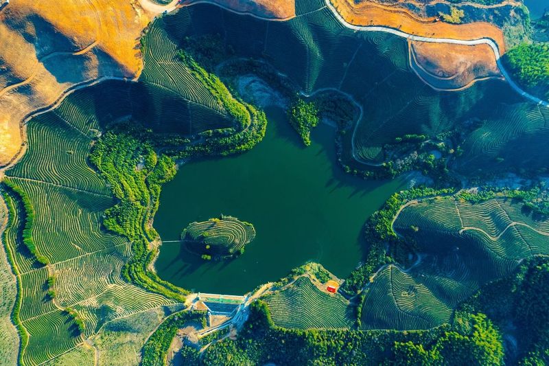 关于这般肆意的春天,来武义呼朋唤友品茶去的内容(18)