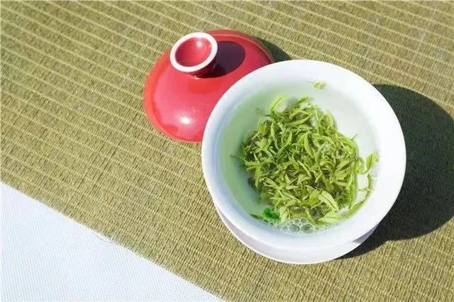 关于这般肆意的春天,来武义呼朋唤友品茶去的内容(22)