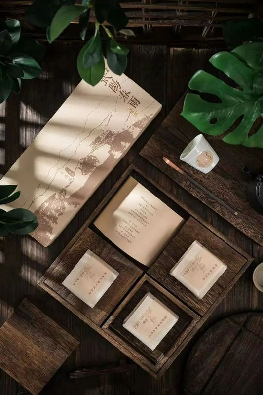 关于这般肆意的春天,来武义呼朋唤友品茶去的内容(19)