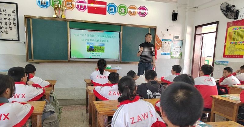 关于正安五小开展采茶劳动实践活动的内容