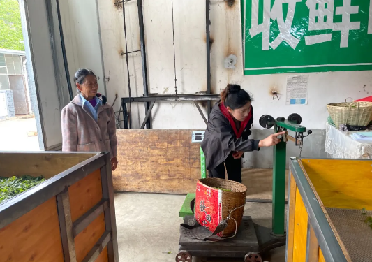 关于小湾镇正义村：搭建村企“连心桥” 谱写茶乡“共富曲”的最新消息(3)