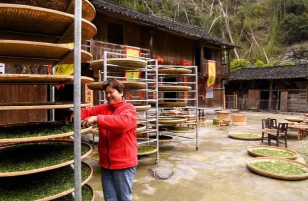 有关于东安：兴茶富民产业旺的最新消息(4)