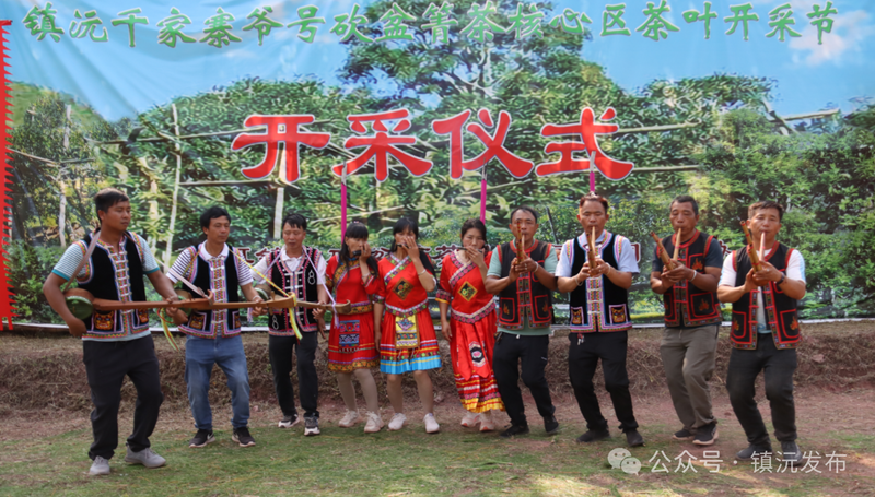 关于人间春意闹 镇沅县砍盆箐采茶忙的相关信息(1)