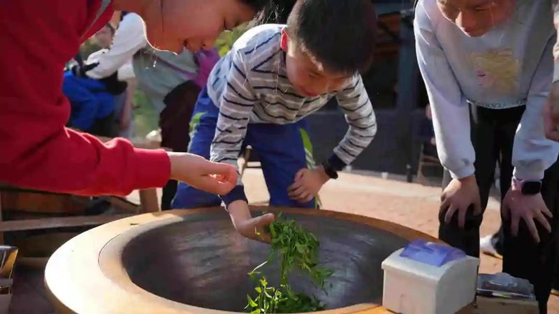 关于岳西县黄尾镇 研学游开辟茶旅融合新路径的最新消息(1)