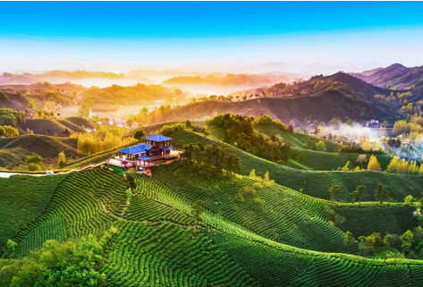 关于茶香大别山，文新报春来！2024中原茶文化论坛暨第十三届文新春茶节在郑州举行的资讯(3)