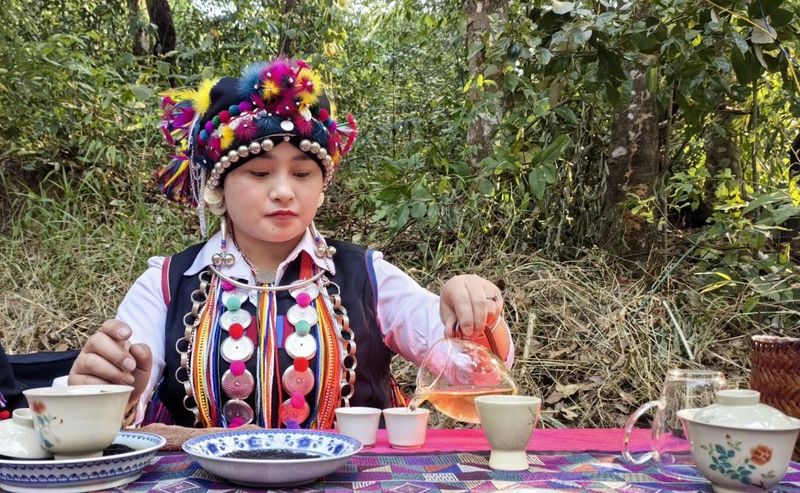 关于春绘勐海 共享茶香，勐海县格朗和乡南糯山古茶山春茶开采节举行的新闻(2)