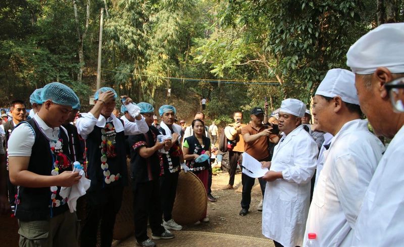 关于春绘勐海 共享茶香，勐海县格朗和乡南糯山古茶山春茶开采节举行的新闻(6)