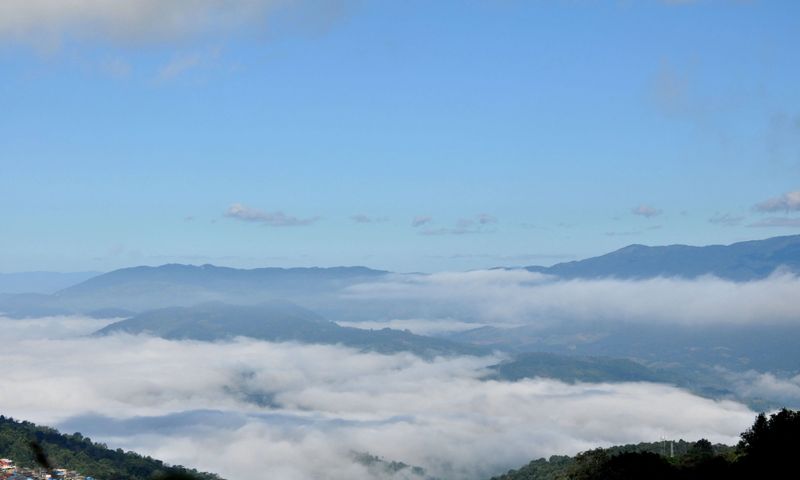 关于春绘勐海 共享茶香，勐海县格朗和乡南糯山古茶山春茶开采节举行的新闻