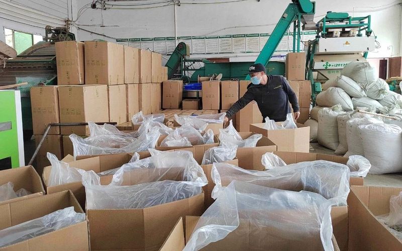 有关于不负好春光！湄潭高原春雪茶叶飘香的新闻(3)