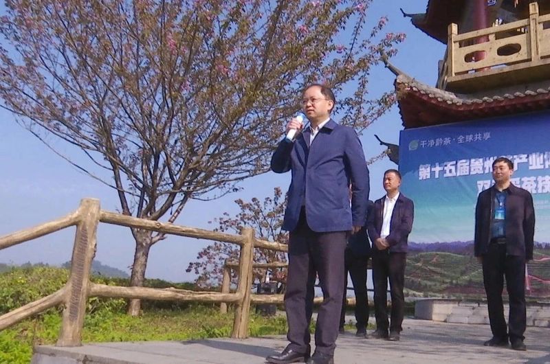 有关于第十五届贵州茶产业博览会凤冈活动暨双手采茶技能大赛在知青茶山举行的新闻(1)