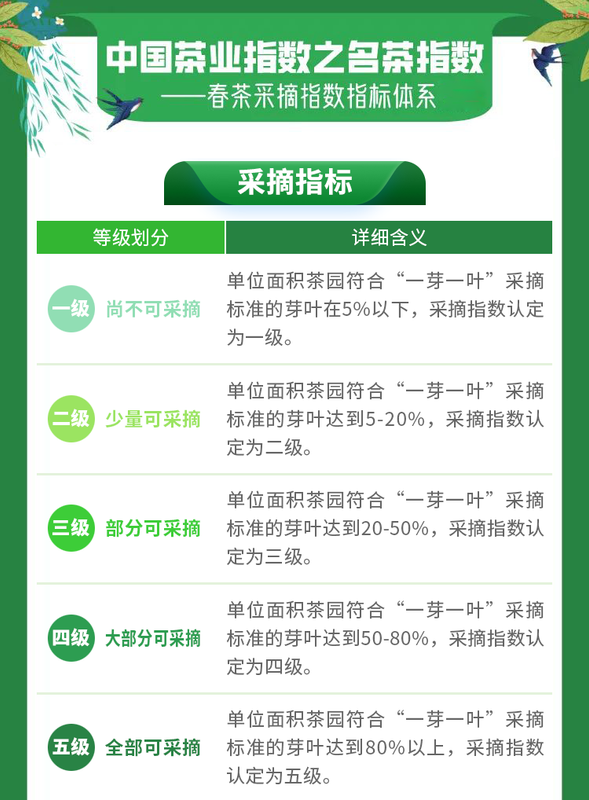 关于2023春茶季：六安瓜片全面开采，洞庭山碧螺春采季结束的相关信息(2)