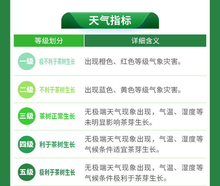 关于2023春茶季：六安瓜片全面开采，洞庭山碧螺春采季结束的相关信息(3)