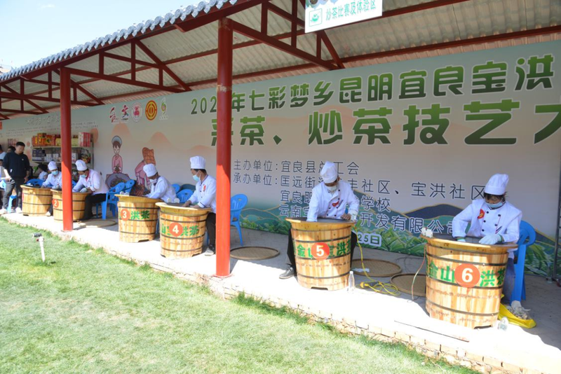 有关于宜良县举办2023年职工技能竞赛启动仪式暨宝洪茶采茶、炒茶技艺大赛的相关内容(5)