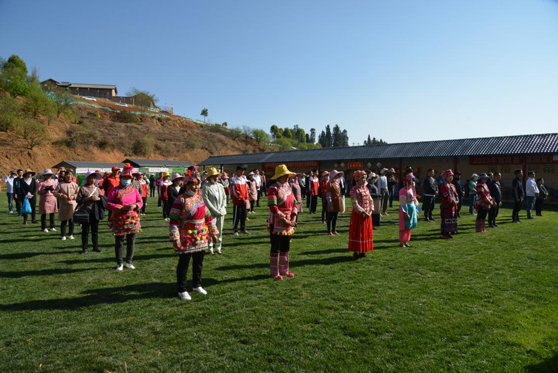 有关于宜良县举办2023年职工技能竞赛启动仪式暨宝洪茶采茶、炒茶技艺大赛的相关内容(8)