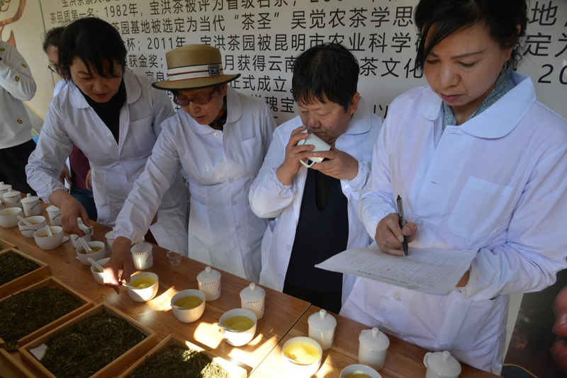 有关于宜良县举办2023年职工技能竞赛启动仪式暨宝洪茶采茶、炒茶技艺大赛的相关内容(7)