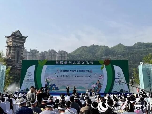 关于首届“贵州古茶文化节”现场签约达10．8亿元的内容