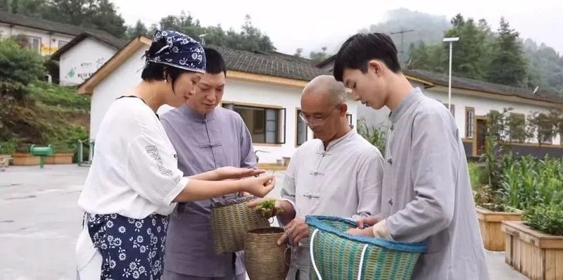 关于沐川：一叶茶一抹绿 茶旅融合促振兴的消息(2)