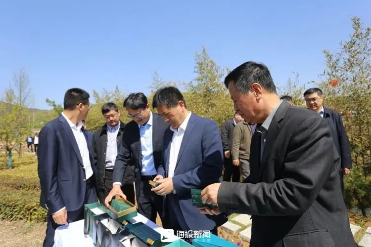 有关于岚山翻开新一“叶”，2023中国海岸绿茶春季开园节盛大启幕的相关内容(6)