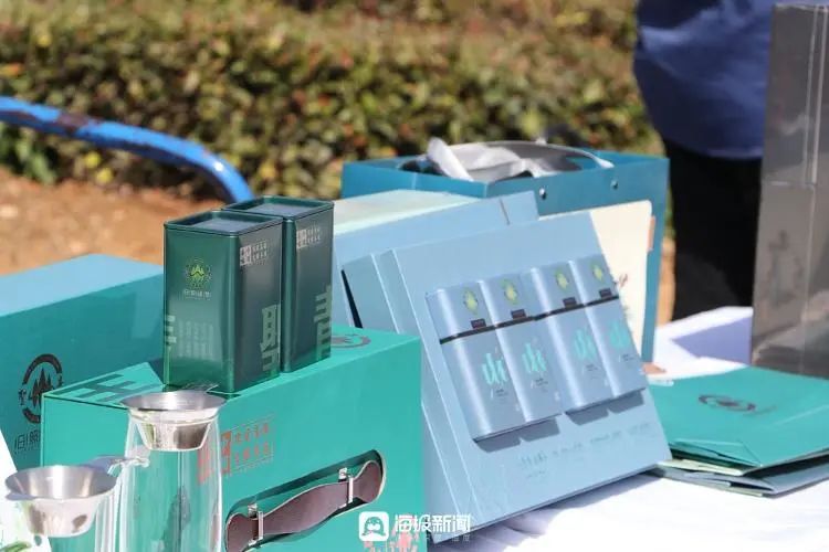 有关于岚山翻开新一“叶”，2023中国海岸绿茶春季开园节盛大启幕的相关内容(7)