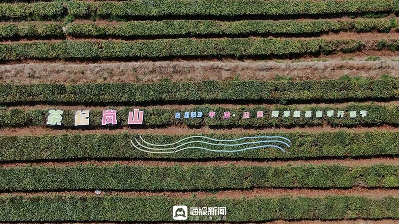 有关于岚山翻开新一“叶”，2023中国海岸绿茶春季开园节盛大启幕的相关内容(1)