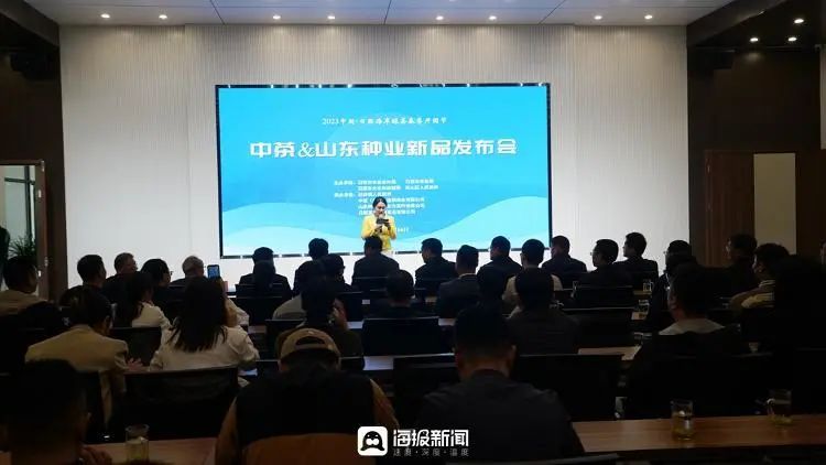 有关于岚山翻开新一“叶”，2023中国海岸绿茶春季开园节盛大启幕的相关内容(10)