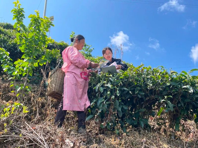 关于临沧临翔：普法春风进茶园的最新消息(2)