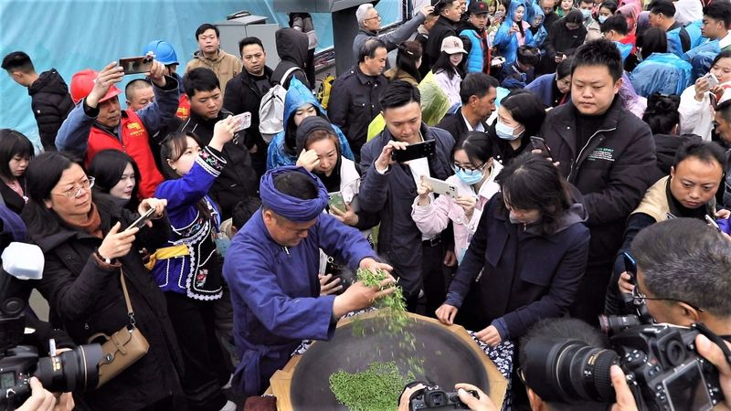 有关于都匀：毛尖飘香迎客来的新闻(1)