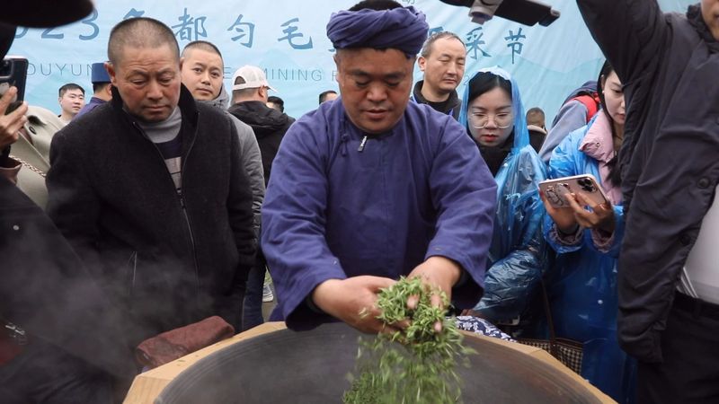 有关于都匀：毛尖飘香迎客来的新闻(2)