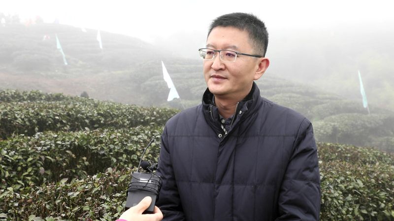 有关于都匀：毛尖飘香迎客来的新闻(11)