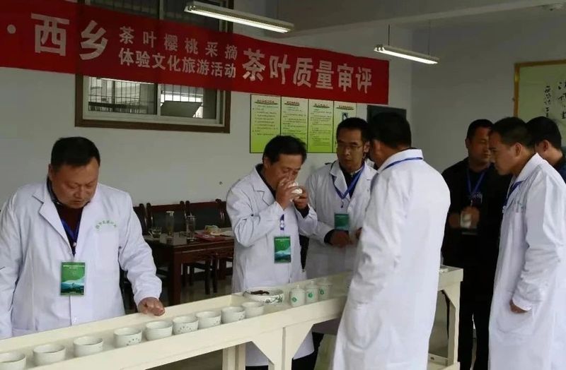 有关于进入最美四月天，茶事活动期待您的参与围观。的资讯(5)