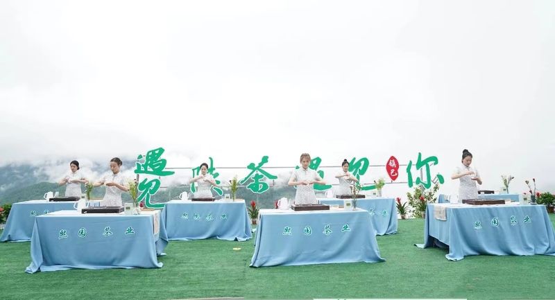 有关于进入最美四月天，茶事活动期待您的参与围观。的资讯(4)