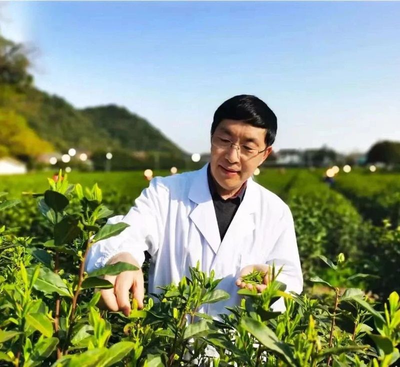 有关于进入最美四月天，茶事活动期待您的参与围观。的资讯(6)