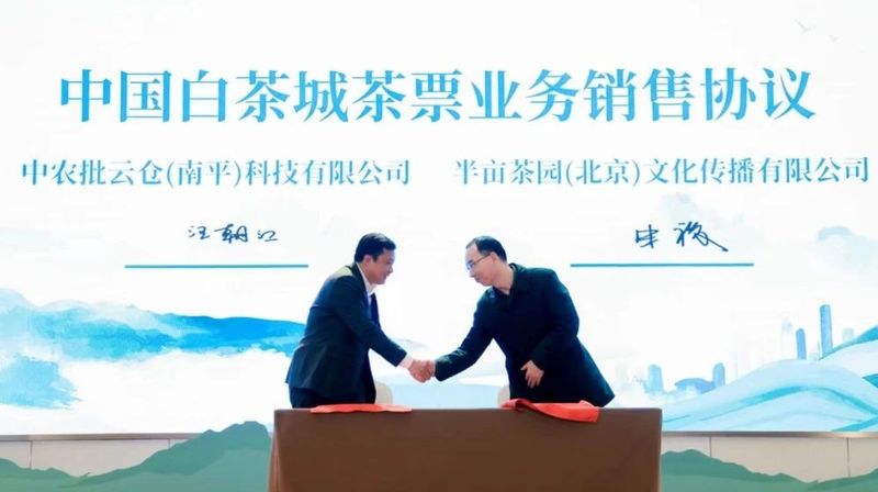 关于政和白茶进京啦！的内容(7)