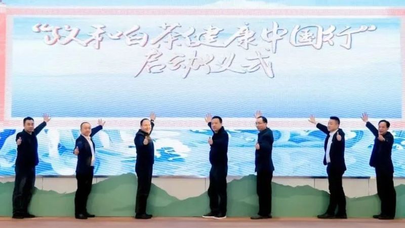 关于政和白茶进京啦！的内容(1)