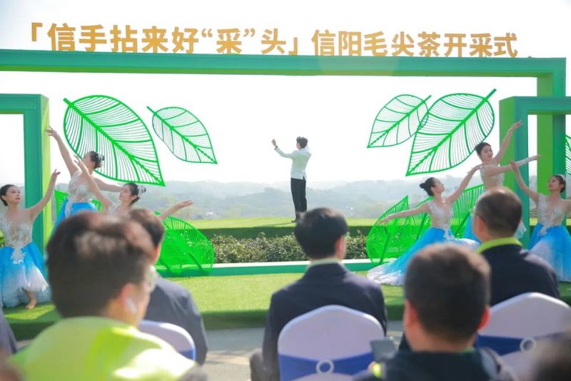 有关于信阳毛尖茶开采式在文新茶村举行的信息(8)