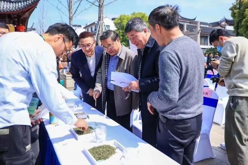 有关于江苏省茶叶学会专家参加洞庭山碧螺春斗茶大赛活动的消息(1)