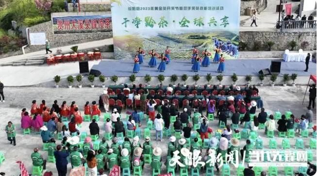 关于绥阳县举行黄金茶开采节暨双手采茶技能培训活动的新闻