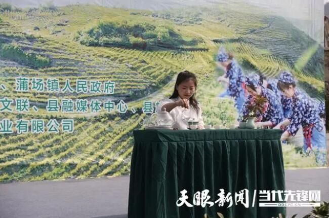 关于绥阳县举行黄金茶开采节暨双手采茶技能培训活动的新闻(1)