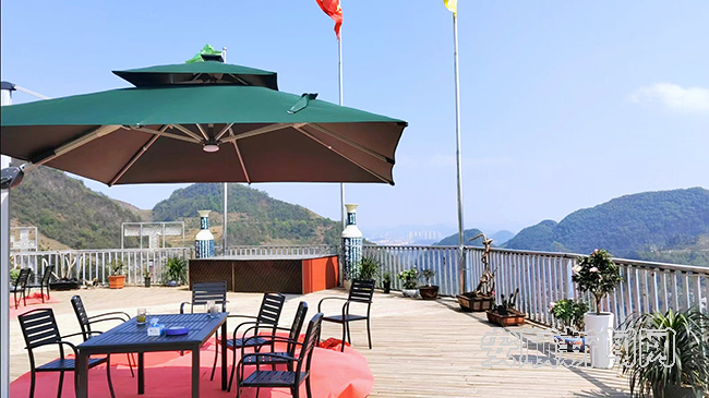 有关于普定县穿洞街道:“白茶小镇”“丰”景宜人的内容(4)