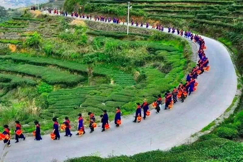 关于乌龙出海:安溪茶的厦门远航之旅的消息(4)