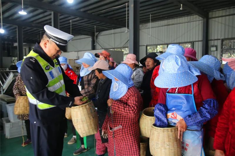 有关于广德公安交警“四个强化”护航采茶季助春茶飘香的相关内容(2)