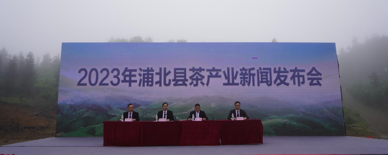 有关于2023年浦北县茶产业发布会在平睦镇五峰山召开的相关内容