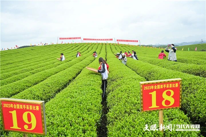 有关于2023年全国双手采茶比赛获奖名单出炉！的消息(12)