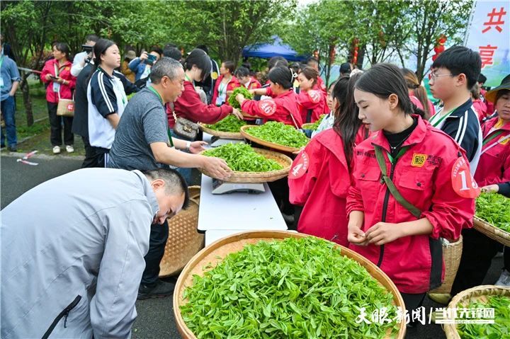 有关于2023年全国双手采茶比赛获奖名单出炉！的消息(21)