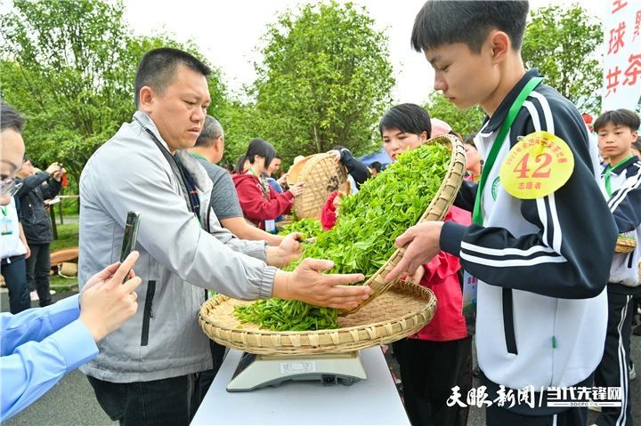 有关于2023年全国双手采茶比赛获奖名单出炉！的消息(20)