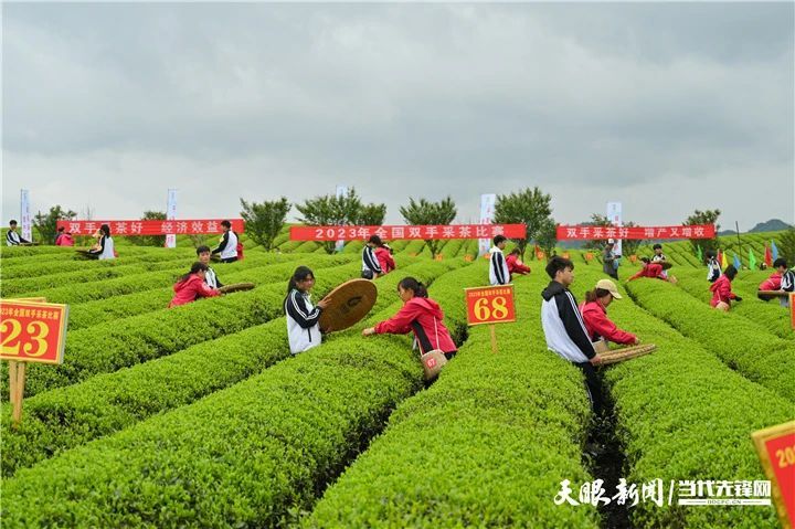 有关于2023年全国双手采茶比赛获奖名单出炉！的消息(8)