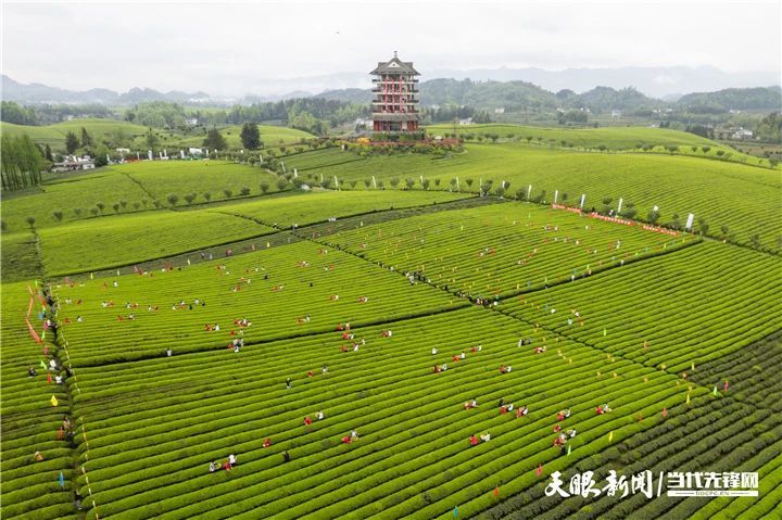 有关于2023年全国双手采茶比赛获奖名单出炉！的消息(15)