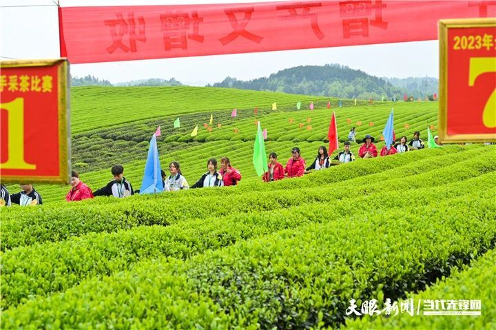 有关于2023年全国双手采茶比赛获奖名单出炉！的消息(11)