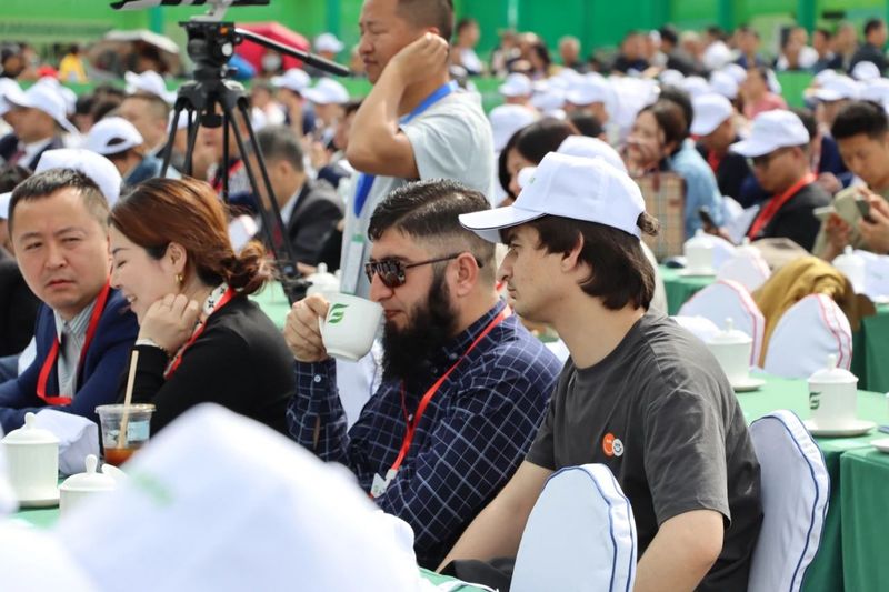 关于共品佳茗 共谋发展！第15届贵州茶产业博览会今日在湄潭开幕的信息(5)