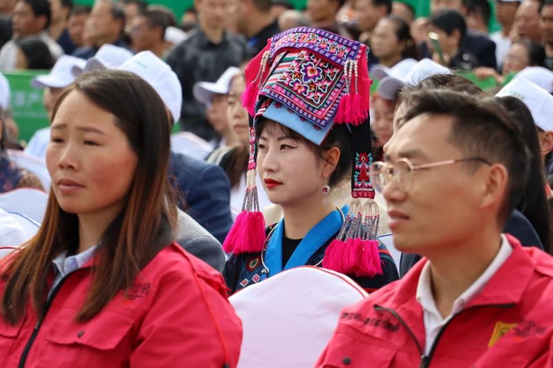 关于共品佳茗 共谋发展！第15届贵州茶产业博览会今日在湄潭开幕的信息(7)